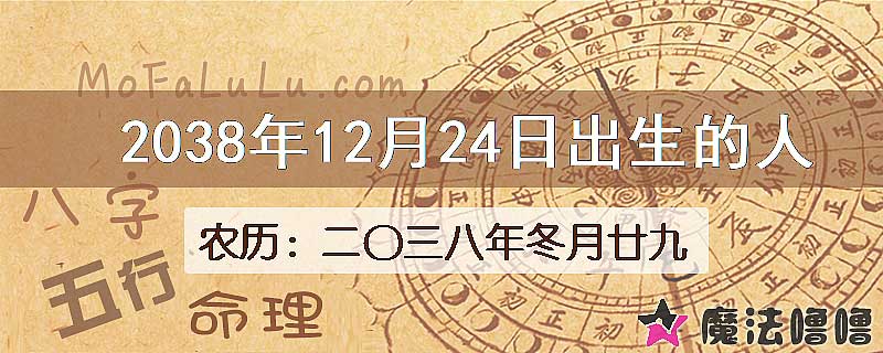 2038年12月24日出生的人