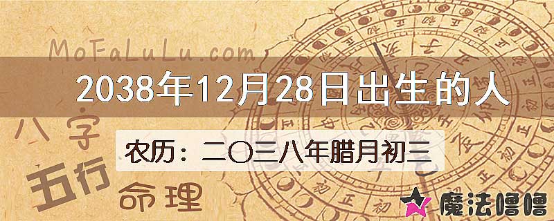 2038年12月28日出生的人
