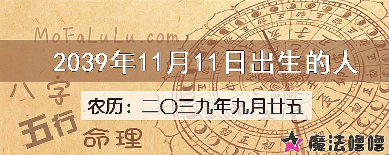 2039年11月11日出生的人
