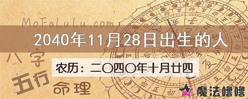 2040年11月28日出生的人