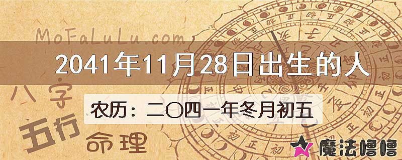 2041年11月28日出生的人
