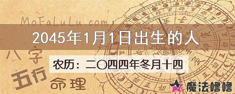 2045年1月1日出生的人