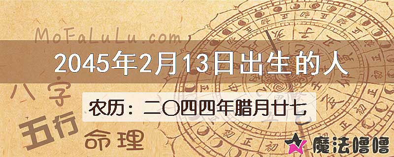 2045年2月13日出生的人