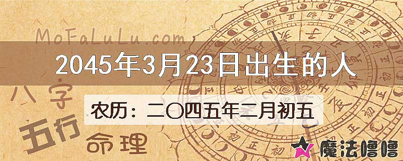 2045年3月23日出生的人