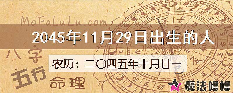 2045年11月29日出生的人