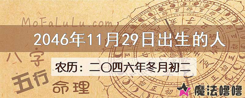 2046年11月29日出生的人