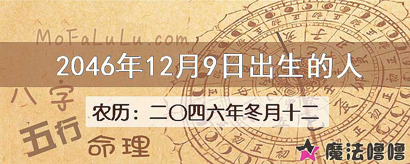 2046年12月9日出生的人