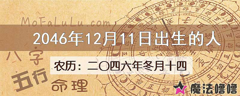 2046年12月11日出生的人