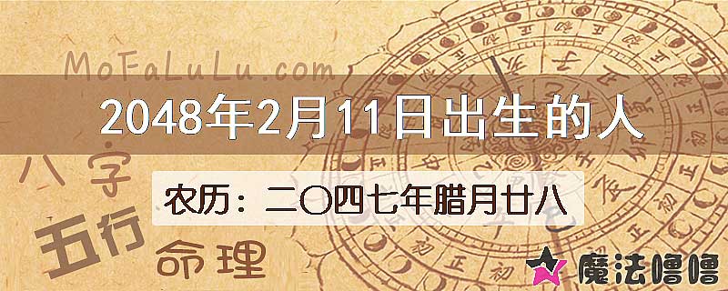 2048年2月11日出生的人
