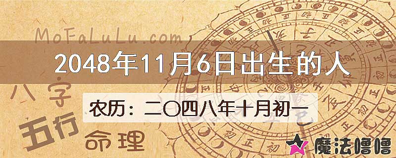 2048年11月6日出生的人