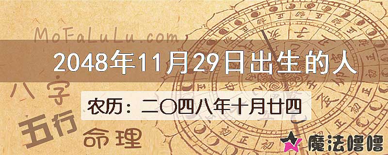 2048年11月29日出生的人