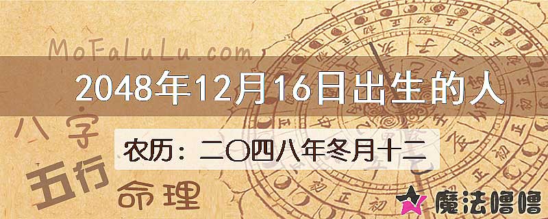 2048年12月16日出生的人