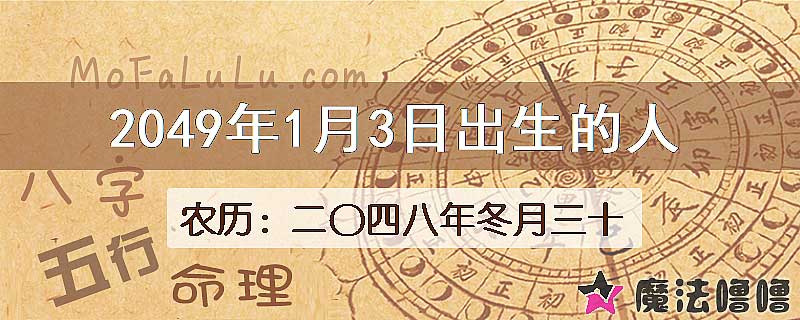 2049年1月3日出生的人