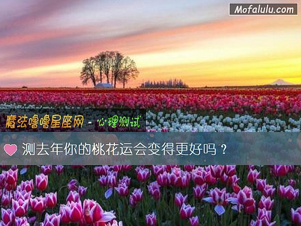 测去年你的桃花运会变得更好吗？