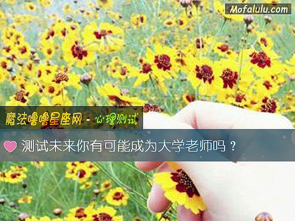 测试未来你有可能成为大学老师吗？