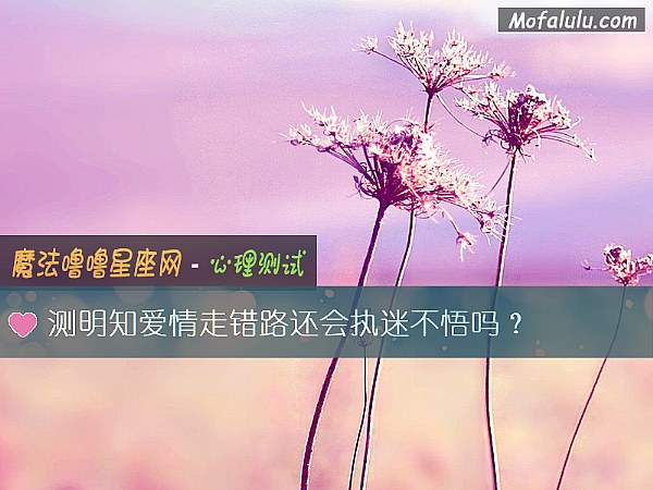 测明知爱情走错路还会执迷不悟吗？