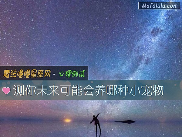 测你未来可能会养哪种小宠物