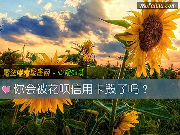 你会被花呗信用卡毁了吗？