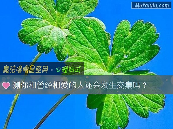 测你和曾经相爱的人还会发生交集吗？