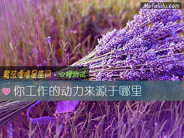 你工作的动力来源于哪里