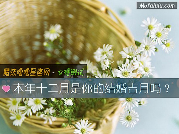 本年十二月是你的结婚吉月吗？