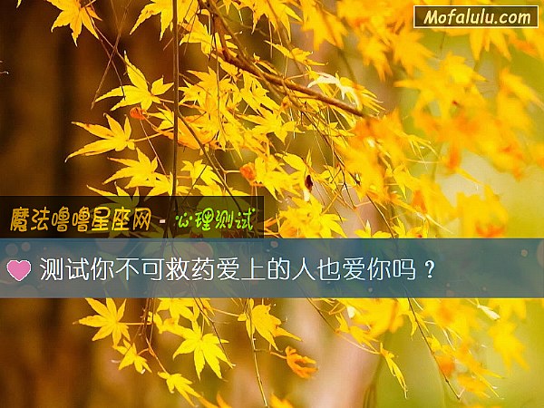 测试你不可救药爱上的人也爱你吗？