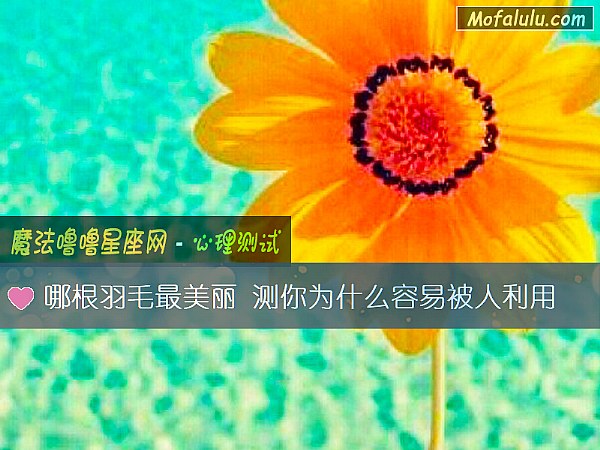 哪根羽毛最美丽 测你为什么容易被人利用