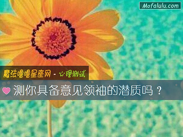 测你具备意见领袖的潜质吗？