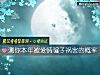 《测你本年被<i>爱情</i>骗子祸害的概率》测试