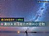 《测你未来可能会养哪种小宠物》测试